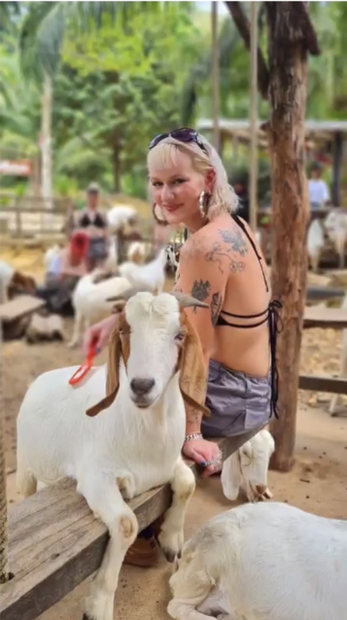 OTOP นวัตวิถีบ้านศรีราชา สิริพร ฟาร์มแพะครูพร